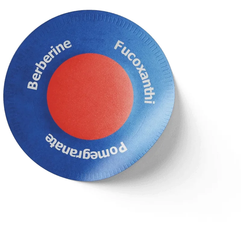 Purisaki berberine patches: mnenja, cena, uporaba, sestavine in kje kupiti v lekarni Purisaki Berberine Patches - view 5